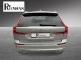 Volvo XC60 B4 Plus Bright + Licht-Paket - gebrauchte Volvo XC60 aus dem Jahr 2024