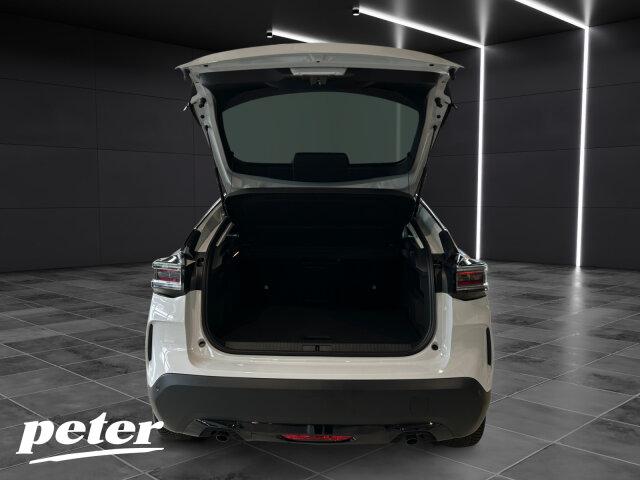 Citroën C4 MAX 145 BAR +360°RFK+Schiebedach+GJR+FSH+HUD+