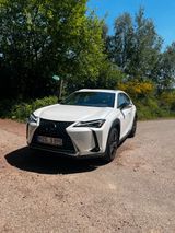 Lexus UX 250h E-FOUR Executive Line  - Lexus aus 2021