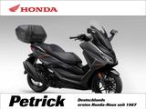 Honda NSS Forza 350 Grau (SE) - Goldener Herbst - - ROLLER GO