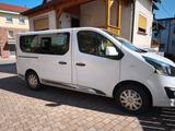Opel Vivaro - gebrauchte Opel Vivaro aus dem Jahr 2019
