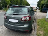 Volkswagen Golf Plus V Comfortline 1.6FSI Schiebedach Klima - Volkswagen Golf: Grün, Schiebedach