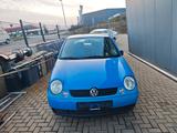 Volkswagen Lupo 1.0 BASIS Basis - gebrauchte VW Lupo aus dem Jahr 1999