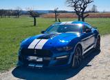 Ford Mustang 2.3 EcoBoost GT500 Optik, top gepflegt! - blaue Ford Mustang