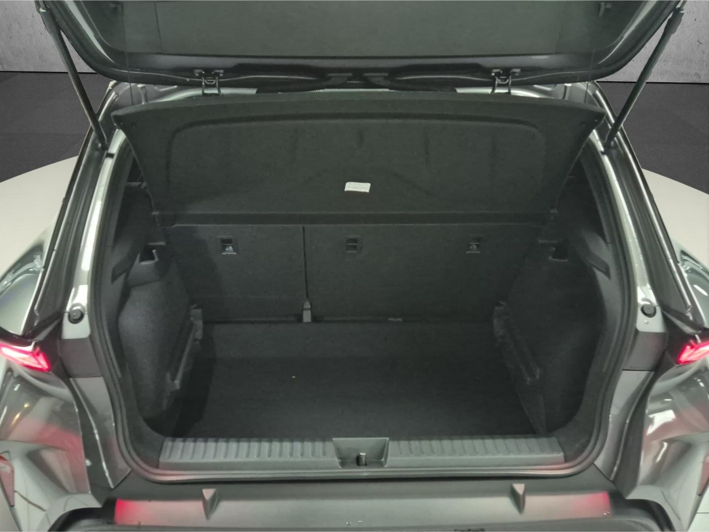 Cupra Raval Endurance Edition Dynamic Plus Plasma 155 