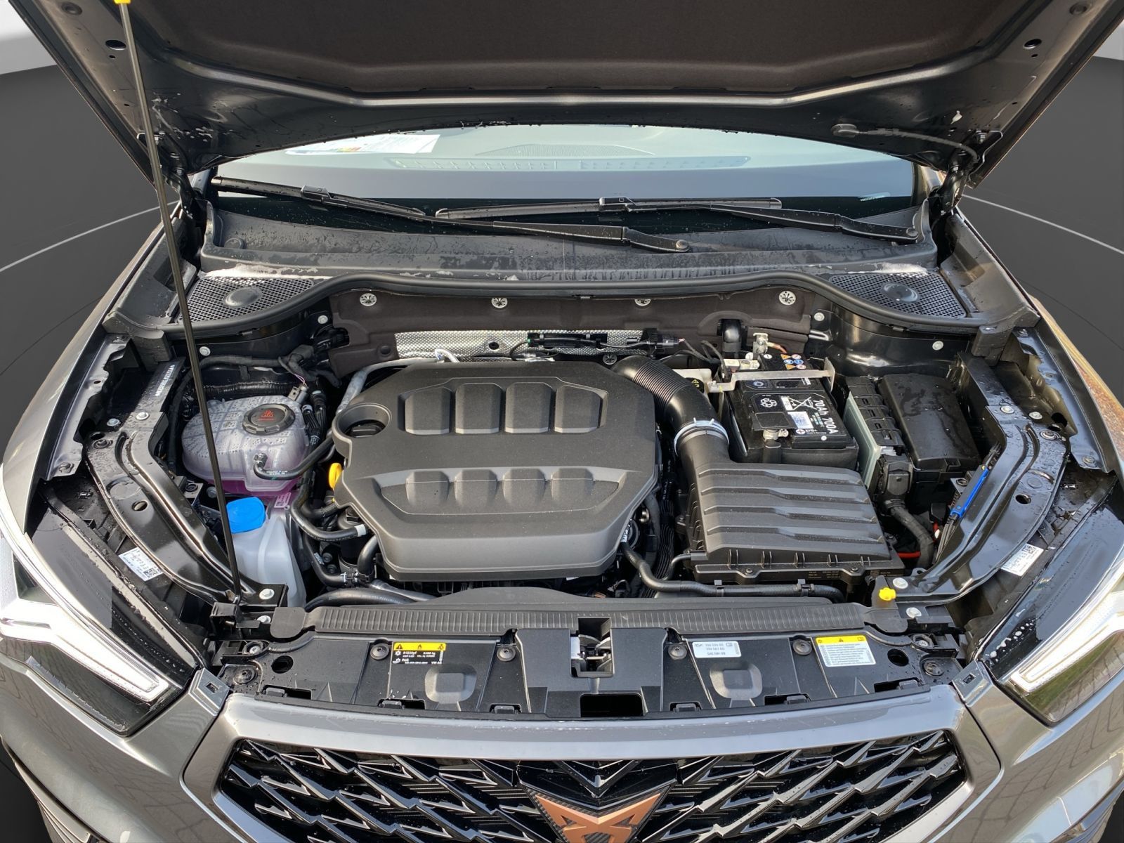 Cupra Ateca - Bild 21