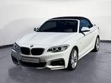 BMW 218i Cabrio M Sport Navi Klima Leder PDC HiFi AH - BMW 218: Navigationssystem
