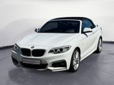 BMW 218i Cabrio M Sport Navi Klima Leder PDC HiFi AH - BMW 218 aus 2016