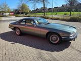 Jaguar XJS V12 Liebhaberfahrzeug - Jaguar XJS: Coupe, V12