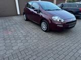 Fiat Punto 1.2 More Klima/ AUX - Fiat Punto in Essen