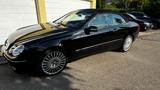 Mercedes-Benz CLK 500 ELEGANCE ELEGANCE - Mercedes-Benz aus 2007: Cabrio