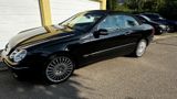 Mercedes-Benz CLK 500 ELEGANCE ELEGANCE - Mercedes-Benz: Clk