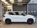 Cupra Ateca 2.0 VZ 300 PS 4Drive* AHK*TOP-VIEW* - Cupra Ateca aus 2022