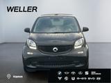Smart fortwo cabrio twinamic passion *SHZ*Navi*Android - Smart ForTwo: Automatik