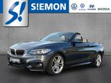 BMW 228 i Cabrio M Sport Navi Leder Bi-Xenon - BMW 228