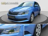 Skoda Fabia Ambition/PDC/AUTOMATIK/GARANTIE 12M! - Skoda Fabia: Automat