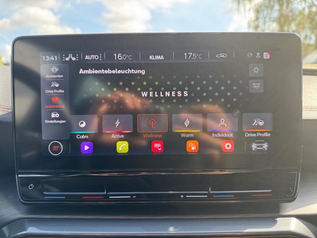 Formentor 2.0 TDI 4Dr. LED eSitz Full Link Kamer