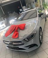 Mercedes-Benz CLS 53 AMG Mercedes-AMG CLS 53 4MATIC+ Autom... - Mercedes CLS 53 AMG mit Schiebedach