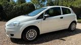 Fiat Punto 1.2 8V Start&Stopp Dynamic Dynamic - Fiat Punto: Dynamic