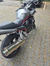 Suzuki Bandit 650 - SUZUKI 2006 BANDIT 650