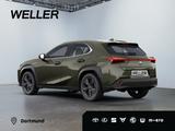 Lexus UX 300h Tech.Paket*dig CP*SHZ*Kamera*TWA*CarPlay - Lexus UX 300h Gebrauchtwagen
