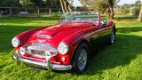 Austin Healey Andere - Austin Healey Gebrauchtwagen von 1962