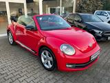 Volkswagen Beetle Cabrio Sport Automatik Xenon Leder 1.Hand - Volkswagen Beetle in Duisburg