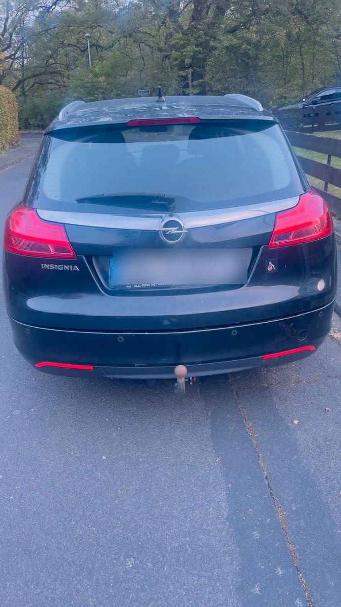 Opel Insignia 2009 — rear view