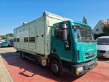 Iveco ML120 EL 22 P 12t Viehtransporter 2-Stock Menke - Iveco 120e