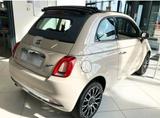 Fiat 500 Collezione Caprio - Caprio gebraucht