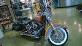 Harley-Davidson Softail FLSTC Heritage Classic - Angebote entsprechen Deinen Suchkriterien