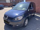 Volkswagen Caddy Roncalli Trendline Klima Fenster el. - Volkswagen Caddy: Roncalli Trendline