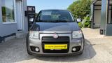 Fiat Panda 1.4 16V 100HP*KLIMA*TÜV* - Fiat Panda: 100hp
