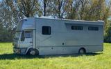 MAN 2000l Pferd, Transporter, Wohnmobil - MAN 2000