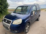 Fiat Doblo 1,3 Multijet Malibu T.Diesel - Fiat Doblo aus 2007