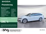Skoda OCTAVIA COMBI 1.0 TSI AMBITION - Skoda Octavia Gebrauchtwagen in Karlsruhe