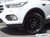 Ford Kuga Trend PDC/TEMPO/BT - Ford Kuga: Trend