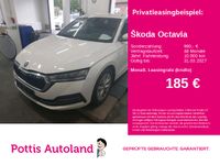 Skoda Octavia - Vorschau Bild 1