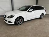 Mercedes-Benz E250T cdi Avantgarde+Leder+ParkAss+Navi+Pano+AHK - Mercedes-Benz E 250 in Bremen