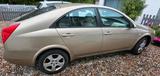 Nissan Primera (Limousine) Tekna aus 05/2003 - Nissan Primera: 20