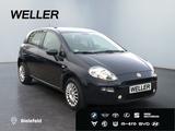 Fiat Punto 1.4 8V *Bluetooth*Klimaautomatik*Colorglas - Fiat Punto Gebrauchtwagen