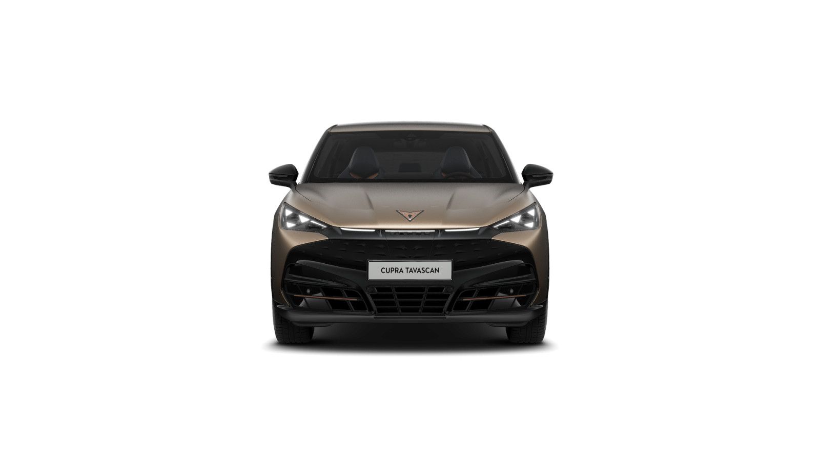 Cupra Tavascan VZ Adrenaline 4x4 MATT NAVI WP PANO 360 foto 4
