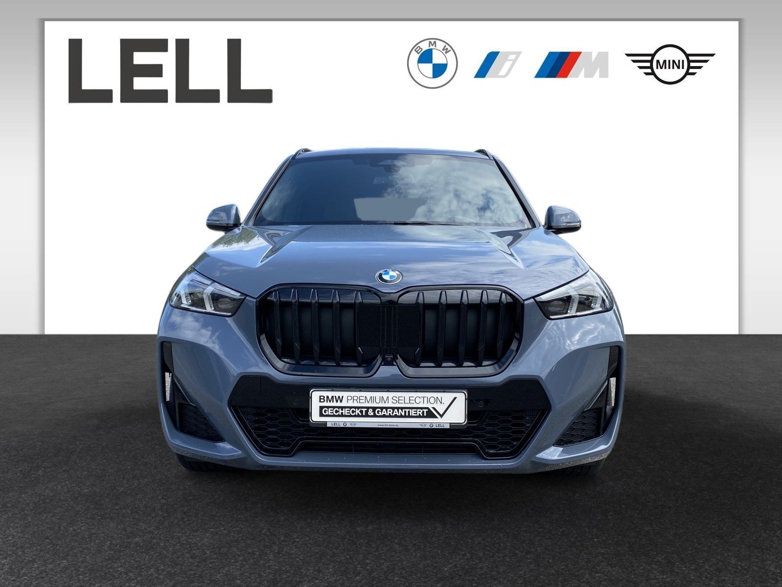BMW X1 sDrive20i M Sportpaket Head-Up RFK LED foto 3
