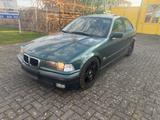 BMW E36 Compact 323ti - 6 Zylinder - BMW 323: Compact