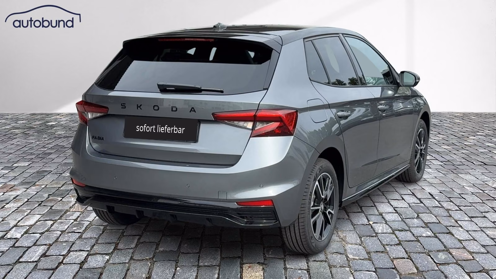 Skoda IV 1,0 TSI DSG Monte Carlo Alu KA LED Link LRH N