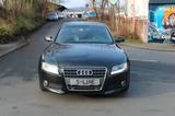 Audi A5 Sportback 2.7 TDI 3*S-Line Navi 6-Zylinder - Audi: Zylinder