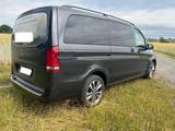 Mercedes-Benz Vito Mixto 124 CDI 1. Hand LKW Zulassung - Mercedes-Benz Vito mit Diesel-Antrieb: Kleinbus, Mixto Lkw Zulassung