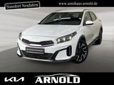 Kia XCeed 1.5 T-GDI VISION Kamera ACC 18" LED Navi !