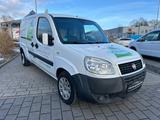 Fiat Doblo Doblò 1.9 JTD SX Maxi Kasten Kühler - gebrauchte Fiat Doblo aus dem Jahr 2009
