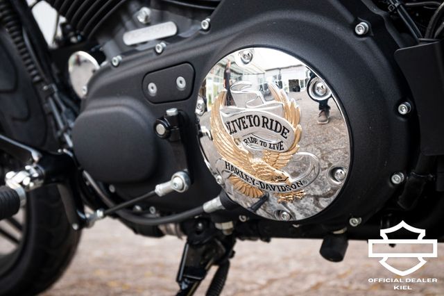Fahrzeugabbildung Harley-Davidson XL1200CX ROADSTER -Penzl Auspuff-